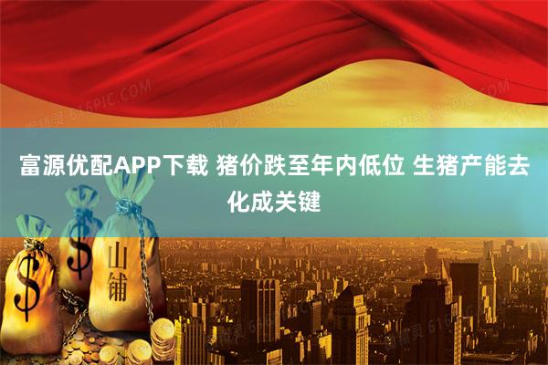 富源优配APP下载 猪价跌至年内低位 生猪产能去化成关键