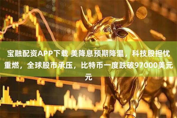 宝融配资APP下载 美降息预期降温，科技股担忧重燃，全球股市承压，比特币一度跌破97000美元